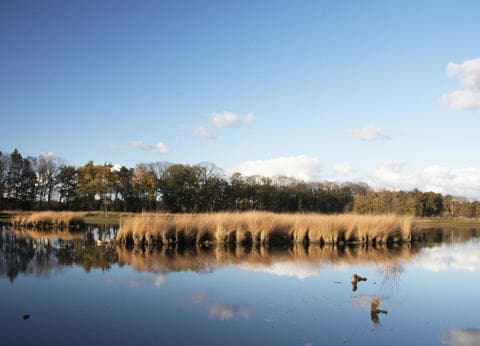 Camping de Eikelaar foto 5