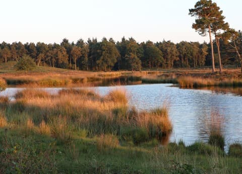 Camping de Eikelaar foto 6