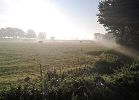 Camping de Eikelaar foto 3