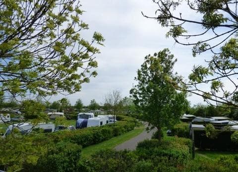 Elizabeth Hoeve foto 1