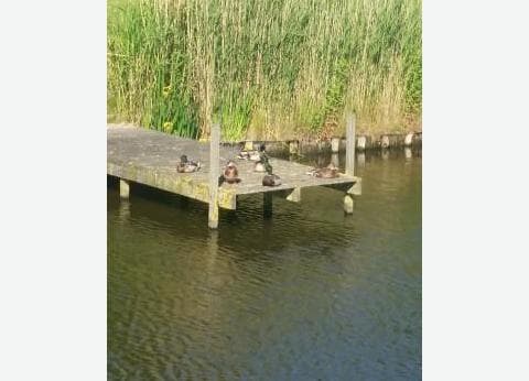 Elizabeth Hoeve foto 6