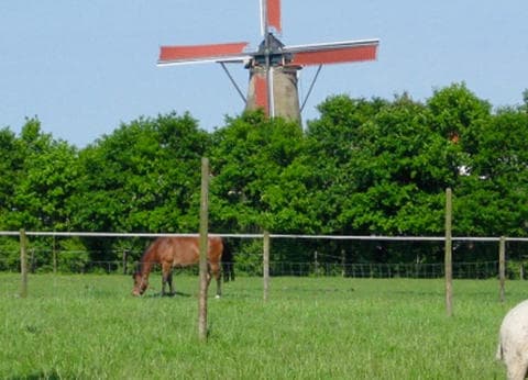 Camping Familie Kloet foto 9