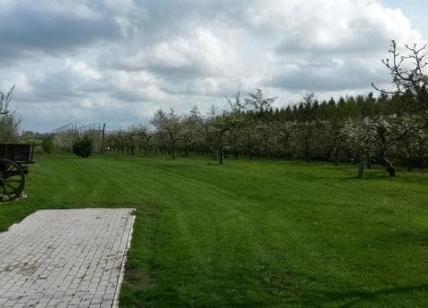 De Fruitgaard foto 5