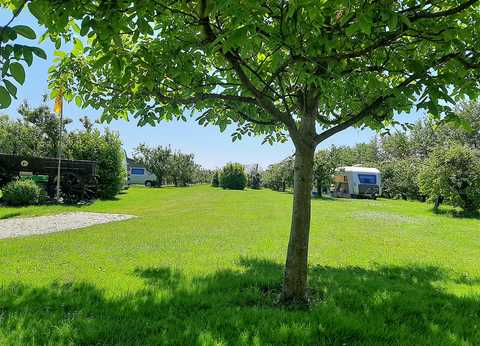 De Fruitgaard foto 1