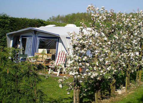 De Fruitgaard foto 1