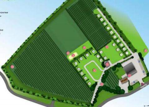 De Fruitgaard foto 4