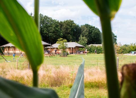 Glamping de Bosweide foto 8