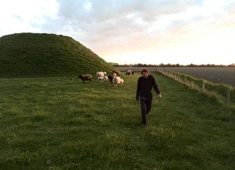 Minicamping "De Goudsbloem" foto 3