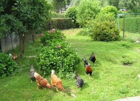 Minicamping de Chever foto 8