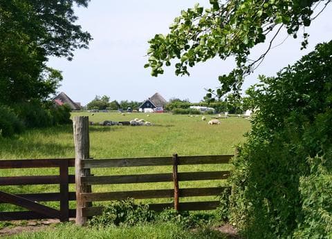 Boerderijcamping De Hal foto 3