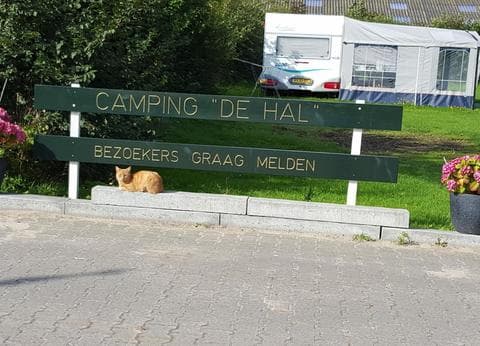 Boerderijcamping De Hal foto 2