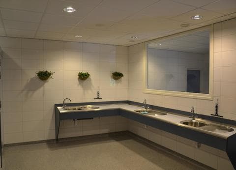 Boerderijcamping De Hal foto 4