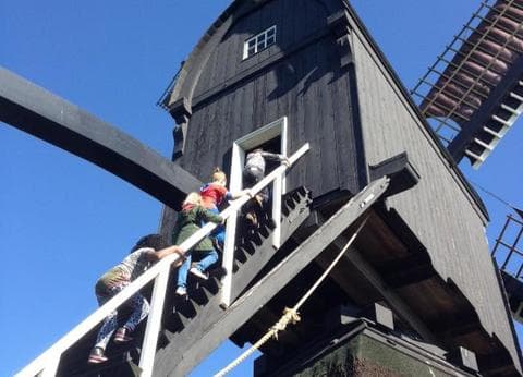 Veldstudiecentrum Hei- en Boeicop foto 6