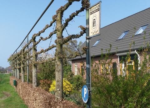 Minicamping Heksenheuvel foto 2