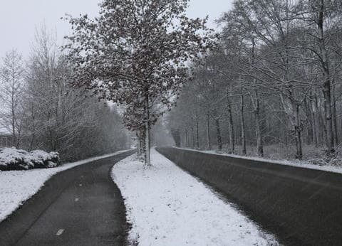 Groepsaccommodatie De Herdershoeve foto 7