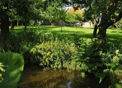 Camping Hiddema State foto 2