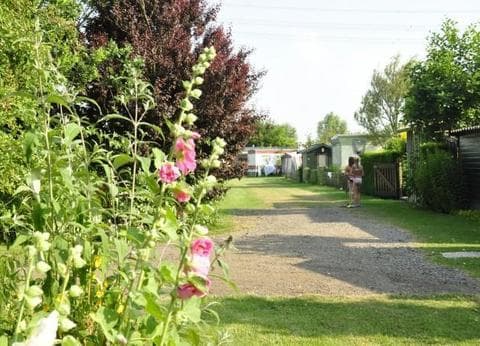 Camping Hiddema State foto 4