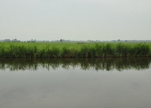 Camping Hiddema State foto 8