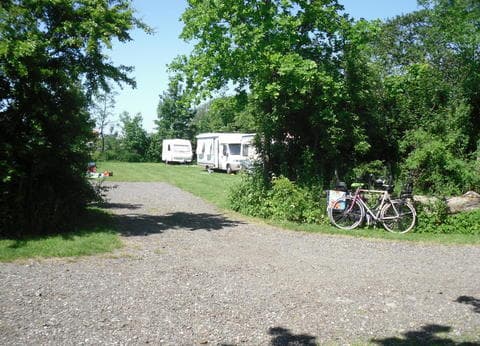 Camping Hiddema State foto 9