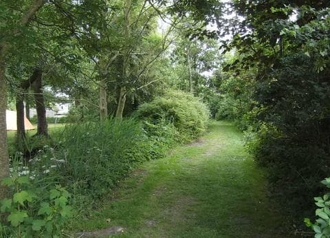 Camping Hiddema State foto 6