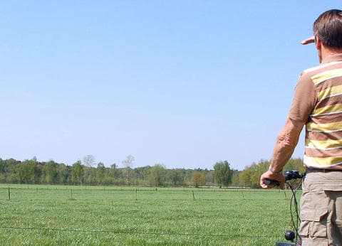 Minicamping Hoeve de Maasduinen foto 3