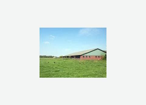 Minicamping Hoeve de Maasduinen foto 6