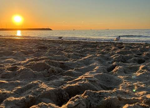 't Hof Welkom foto 6