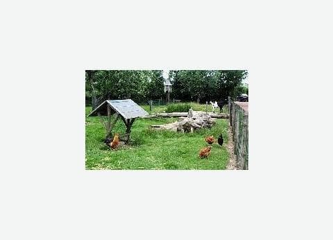 Camping Hofstede Molenzicht foto 6