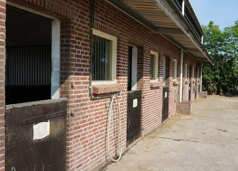 Camping Hofstede Molenzicht foto 5