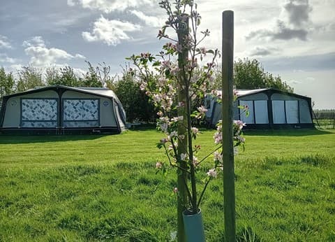 Camping en vakantiewoning Holmhoeve foto 9