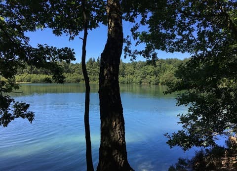 Camping en vakantiewoning Holmhoeve foto 5