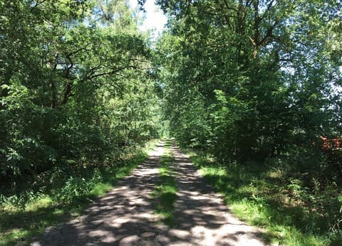 Camping en vakantiewoning Holmhoeve foto 7