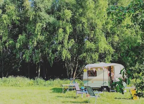 Vakantieboerderij De Hoogewaard foto 3