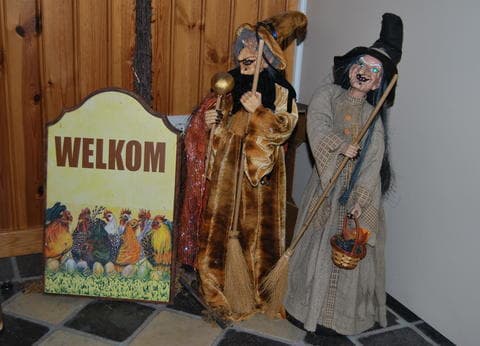 Camping De Hooiberg in Bladel. foto 9