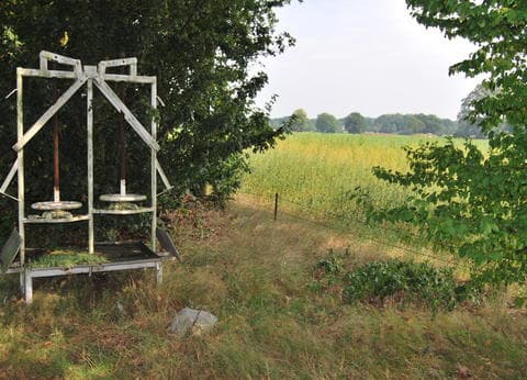 Camping De Hooiberg in Bladel. foto 8