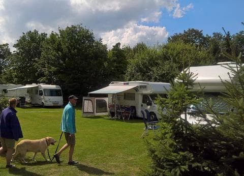 Camping De Hooiberg in Bladel. foto 4