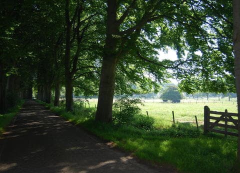 Camping De Hooiberg in Bladel. foto 5