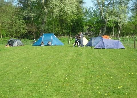 Minicamping De Hooiberg foto 7