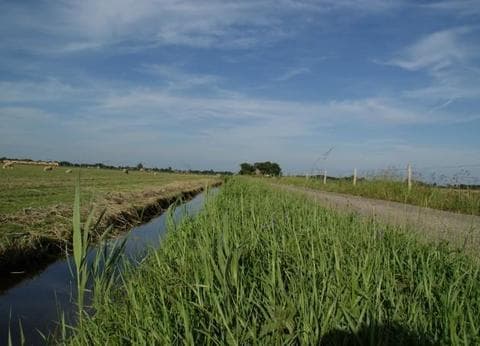 Minicamping De Hooiberg foto 8