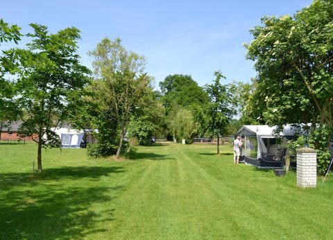 Camping De Hooiberg foto 3