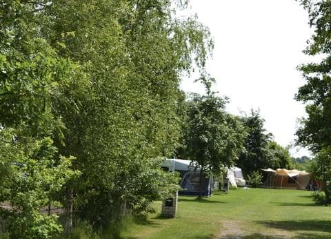 Camping De Hooiberg foto 4