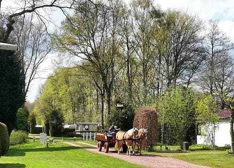 Camping Hoppenhof foto 5