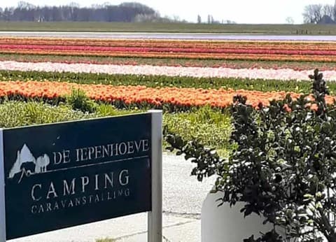 De Iepenhoeve foto 3