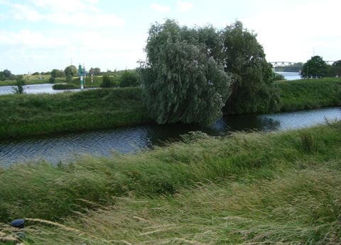 Minicamping 't Inj foto 8