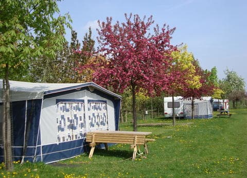 Minicamping 't Inj foto 4