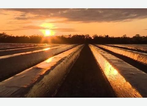 Keijser - Ongeren foto 1