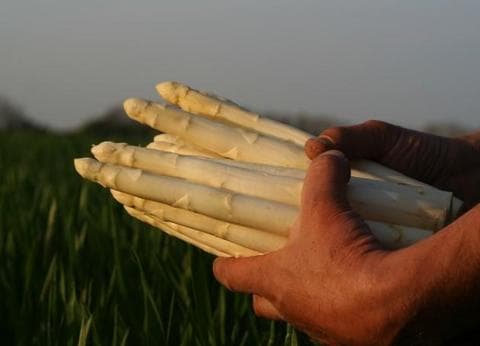 Keijser - Ongeren foto 6