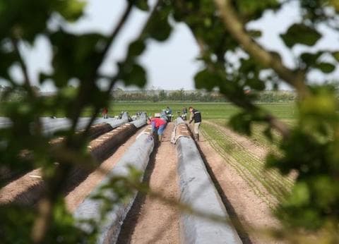 Keijser - Ongeren foto 8