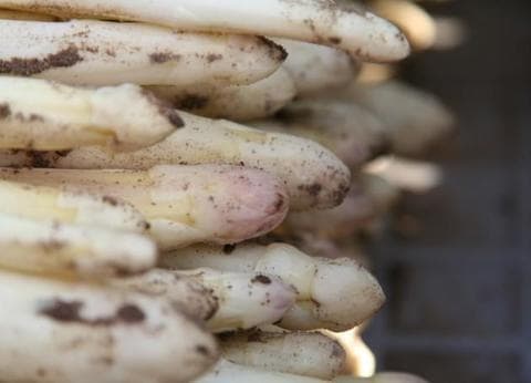 Keijser - Ongeren foto 9