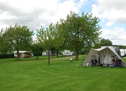 De Kersengaard foto 7